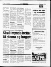 Síða 11
