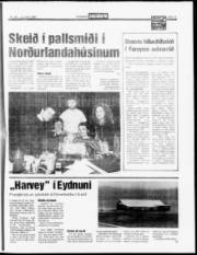 Síða 13