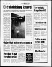 Síða 3
