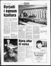 Síða 5