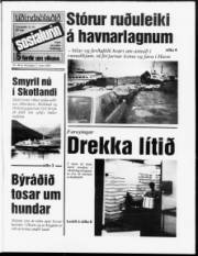 Síða 1
