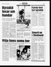 Síða 3