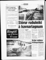 Síða 4