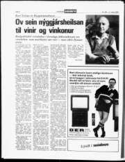 Síða 6