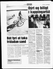Síða 8
