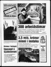 Síða 1