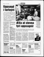 Síða 3