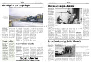 Síða 3