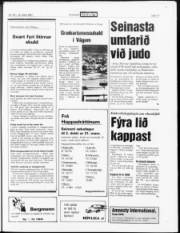 Síða 17