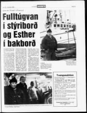 Síða 19