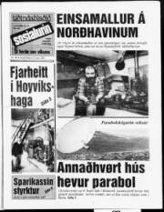 Síða 1