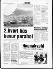 Síða 5