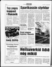 Síða 8