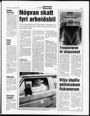 Síða 3