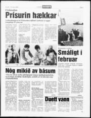 Síða 5