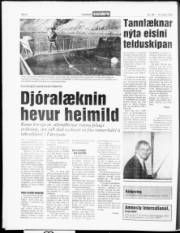 Síða 6