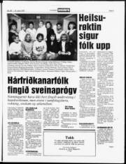 Síða 5