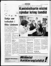 Síða 6