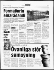 Síða 7