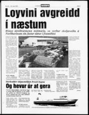 Síða 3