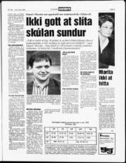 Síða 3