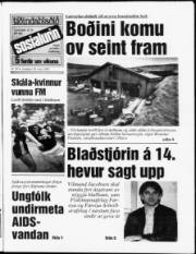 Síða 1