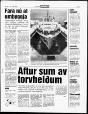 Síða 3