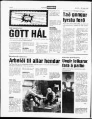 Síða 6