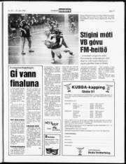 Síða 11