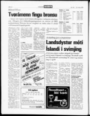 Síða 12