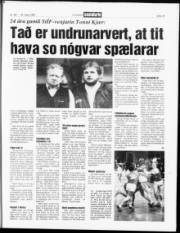 Síða 13