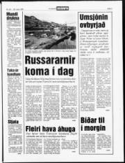Síða 3
