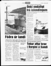 Síða 8