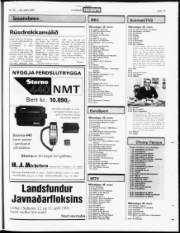 Síða 15