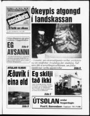 Síða 1