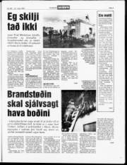Síða 3