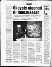 Síða 6