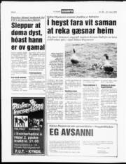 Síða 8