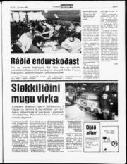 Síða 3