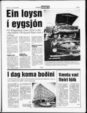 Síða 7