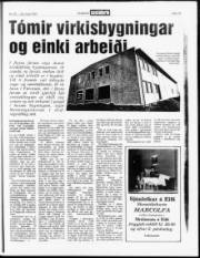 Síða 15