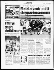 Síða 16