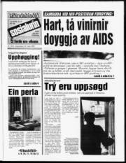 Síða 1