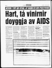 Síða 6