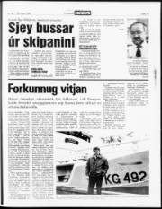 Síða 14