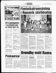 Síða 8