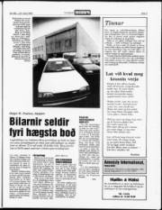 Síða 3