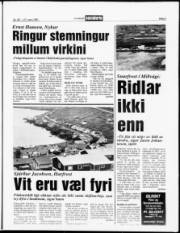 Síða 5