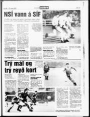 Síða 19