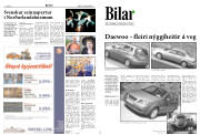 Síða 9